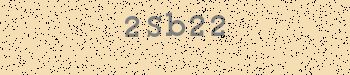 An error has occurred while getting captcha image