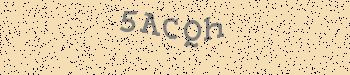 An error has occurred while getting captcha image