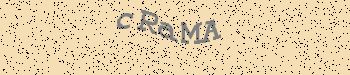 An error has occurred while getting captcha image