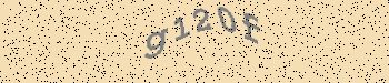An error has occurred while getting captcha image