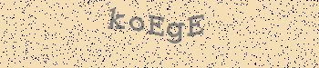 An error has occurred while getting captcha image