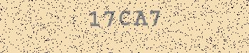 An error has occurred while getting captcha image