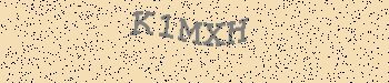 An error has occurred while getting captcha image