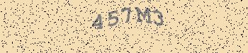 An error has occurred while getting captcha image