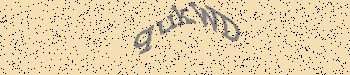 An error has occurred while getting captcha image
