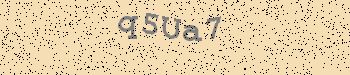 An error has occurred while getting captcha image